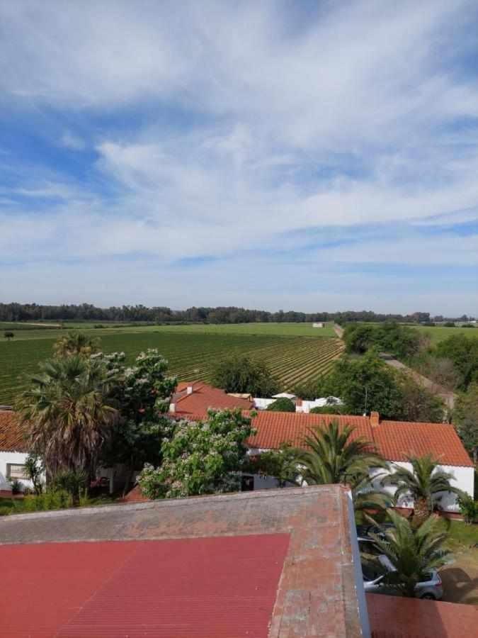Hotel Rural Villa Torreaguila Badajoz Bagian luar foto