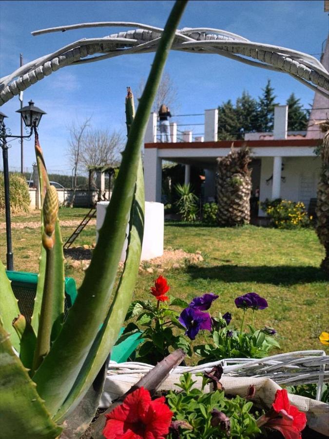 Hotel Rural Villa Torreaguila Badajoz Bagian luar foto